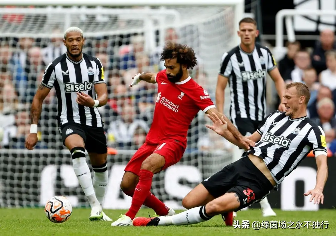 便宜, 英超, 阵容的磨合